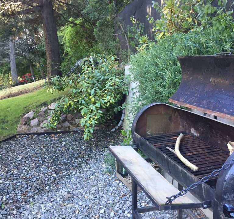 WhatsApp Image 2022-08-17 at 8.20.57 PM (1)