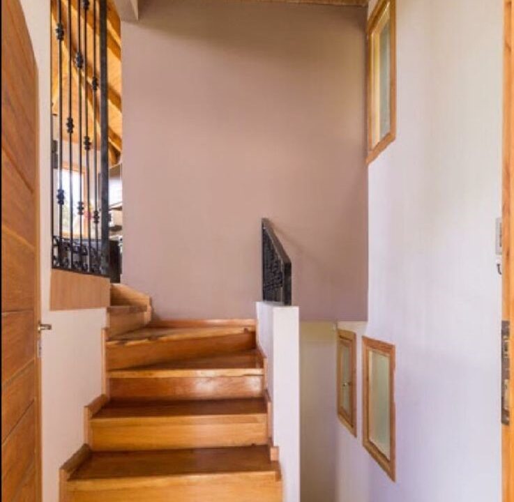 WhatsApp Image 2022-08-17 at 8.20.57 PM